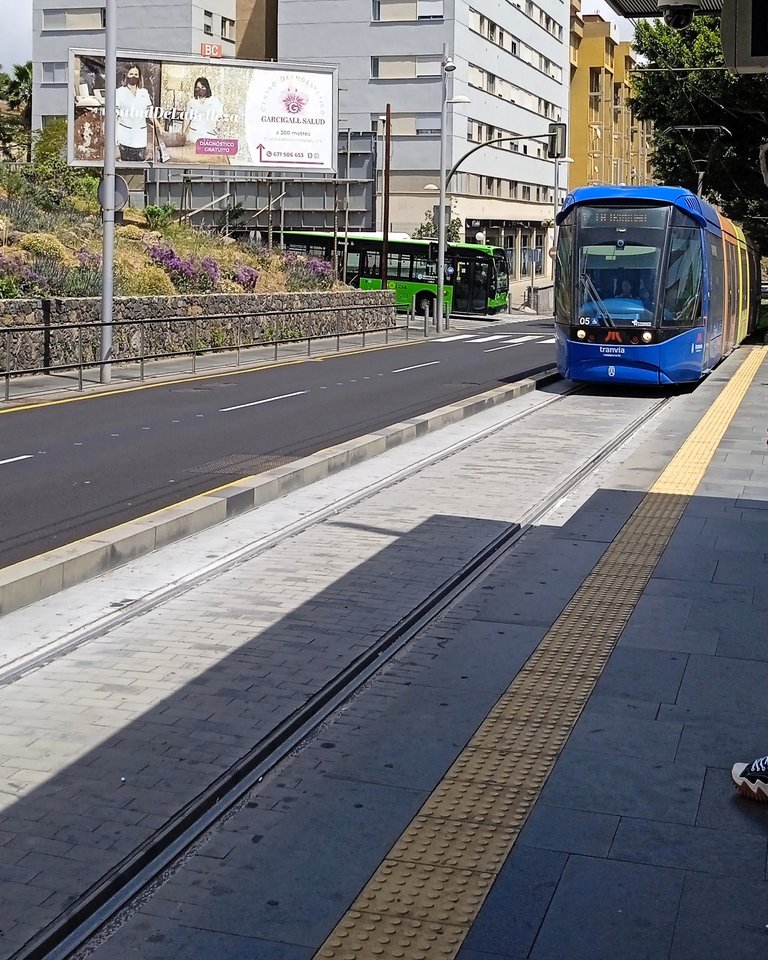 Tranvía de Tenerife (6).jpg