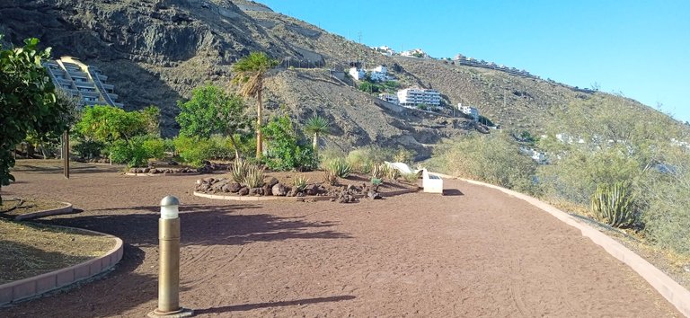 Plala La Nea Radazul Hive Tenerife (3).jpg
