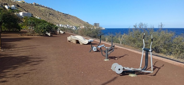 Plala La Nea Radazul Hive Tenerife (1).jpg