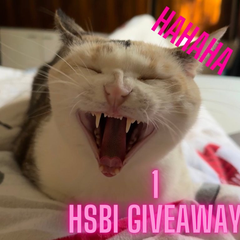 Copy of 1 HSBI Giveaway 10.JPG