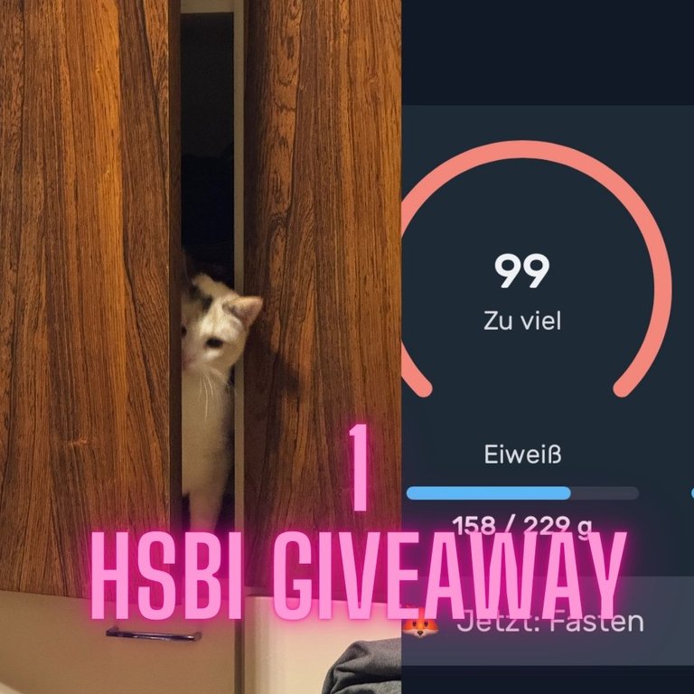 1 HSBI Giveaway 16.jpg.JPG