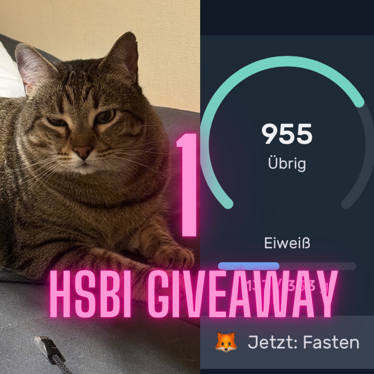 1 HSBI Giveaway 11.png