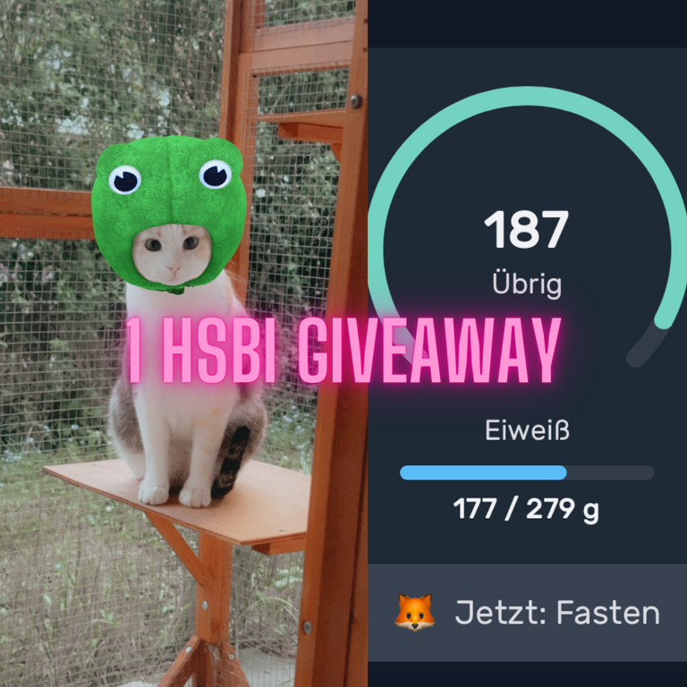 1 HSBI Giveaway 2.png