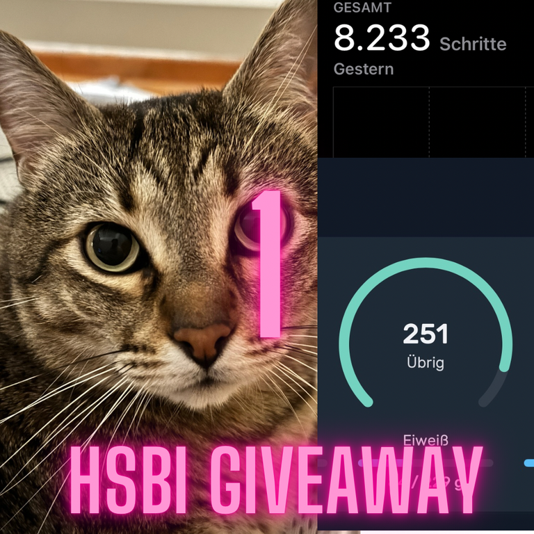 1 HSBI Giveaway 22.png