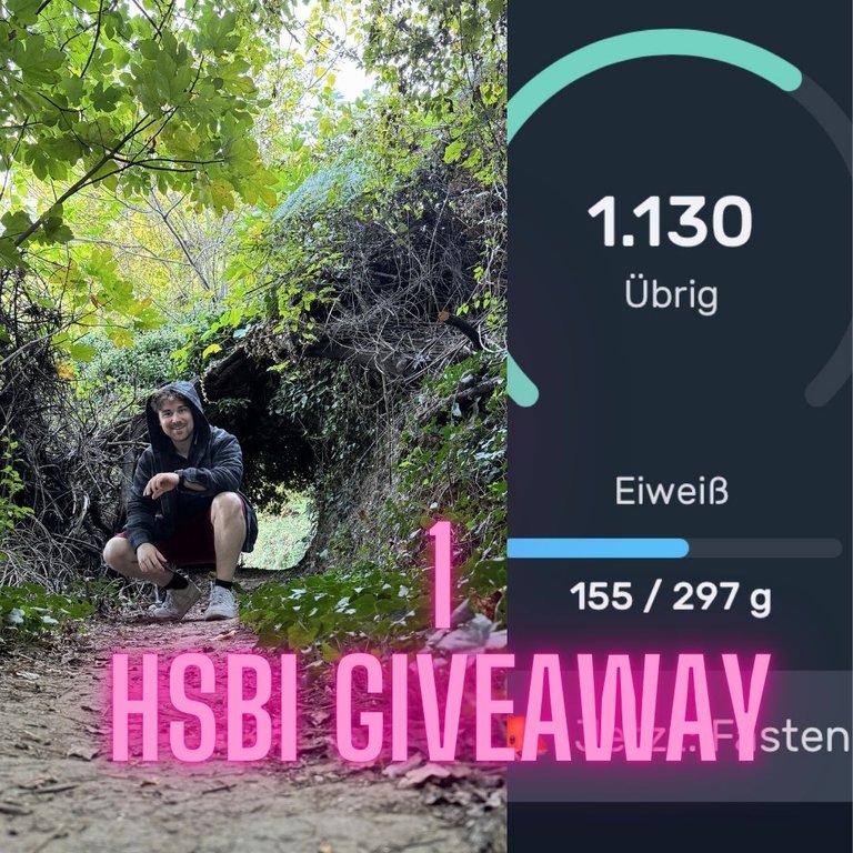 1 HSBI Giveaway 7.jpg.jpg