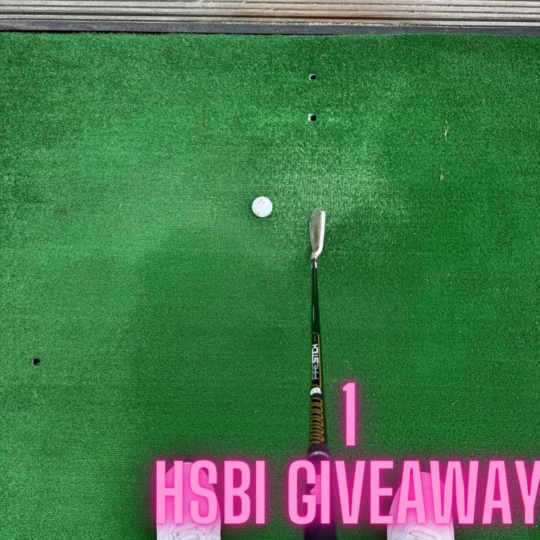 Copy of 1 HSBI Giveaway 6.jpg