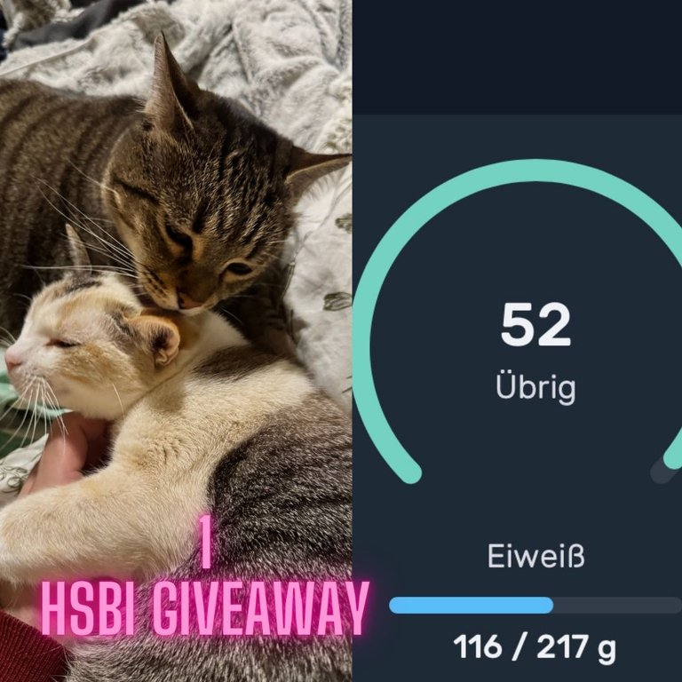 1 HSBI Giveaway 22.jpg.jpg