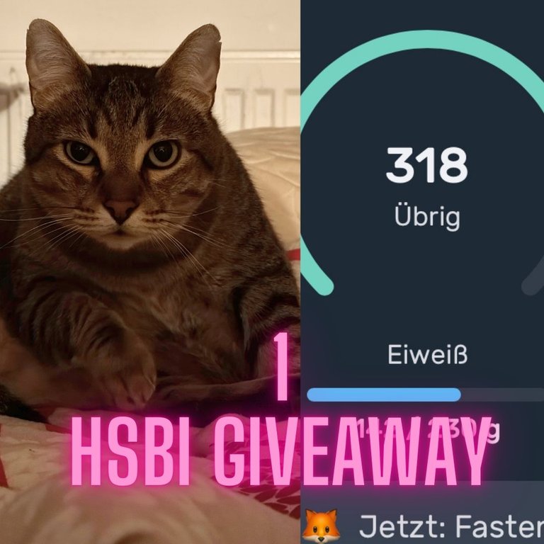 1 HSBI Giveaway 5.jpg.JPG