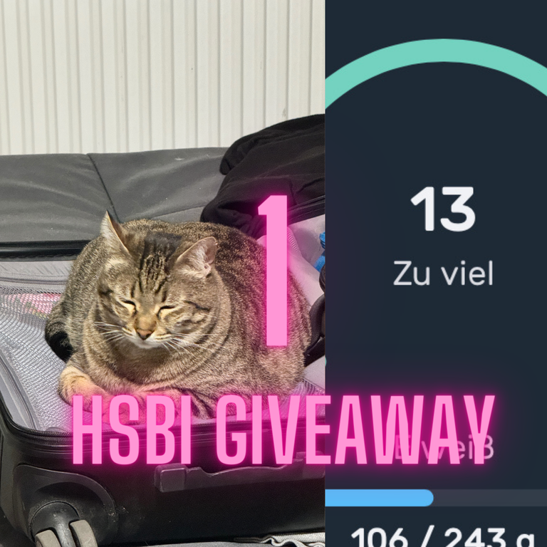 1 HSBI Giveaway 10.PNG