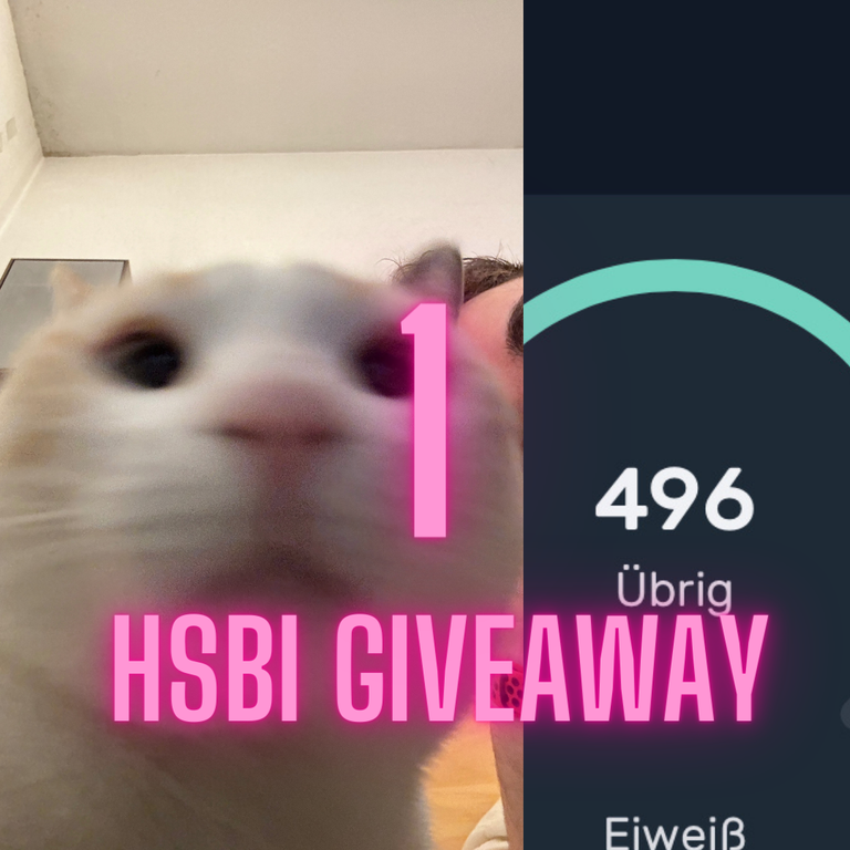 1 HSBI Giveaway 6.PNG