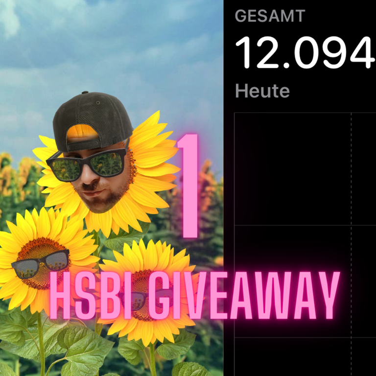 1 HSBI Giveaway 16.PNG