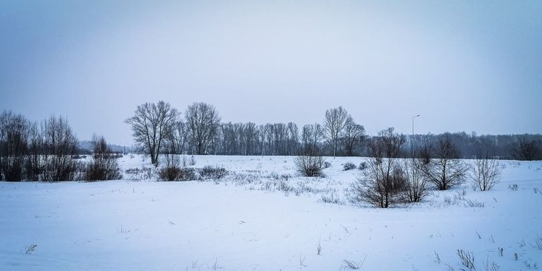 IMG_20220130_115844.jpg