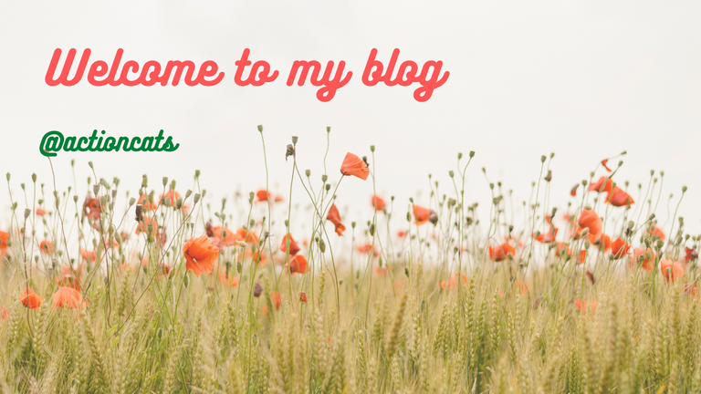 Bienvenidos a mi blog (1).png
