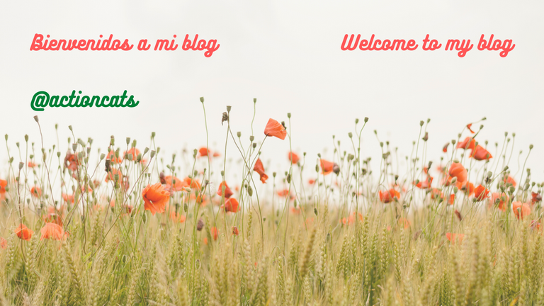 Bienvenidos a mi blog 2 idiomas.png