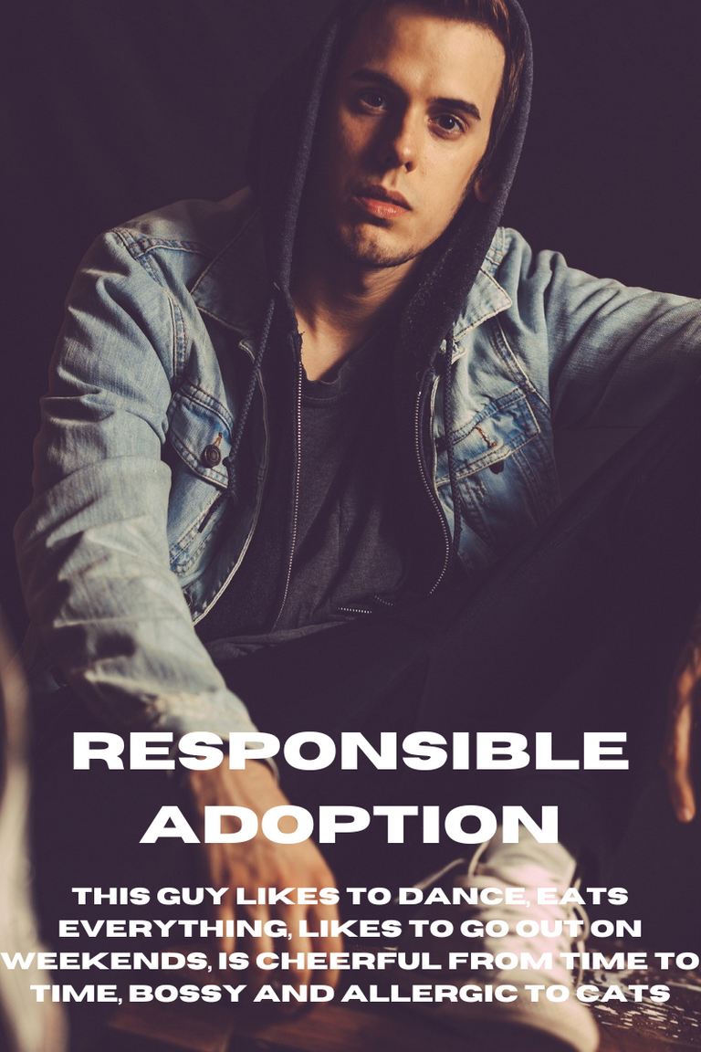 Responsible adoption.png