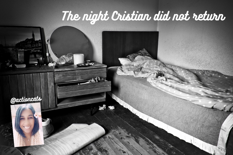 The night Cristian did not return.png