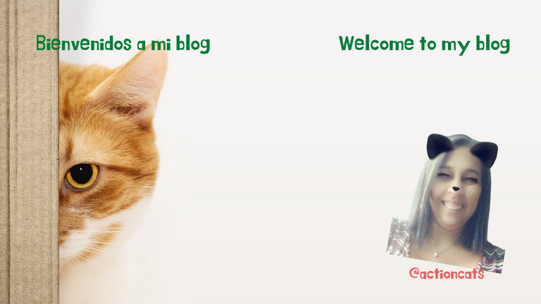Bienvenidos a mi blog 2 idiomas nuevo.png