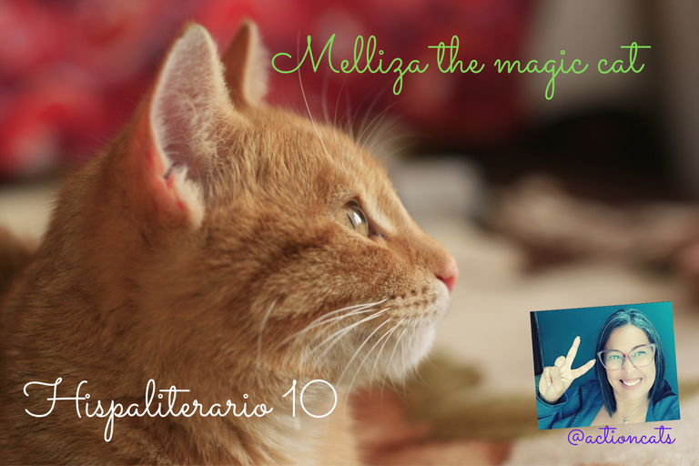 Melliza the cat with magic (1).png
