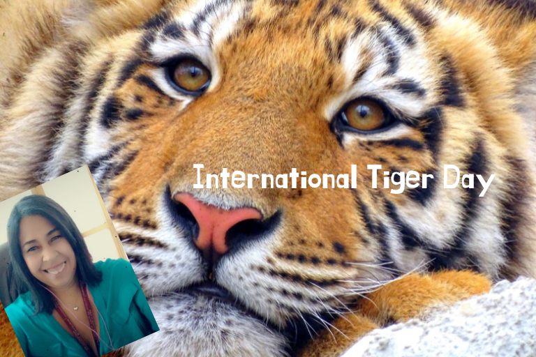 Dia internacional del Tigre.png