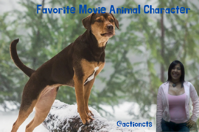 Favorite Movie Animal Character.png
