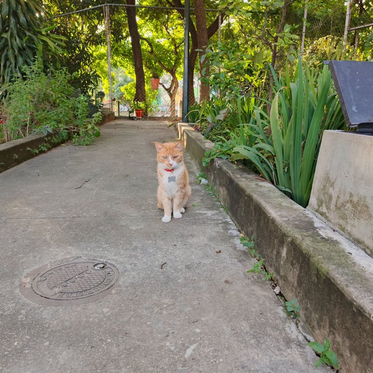 1000238470.jpg