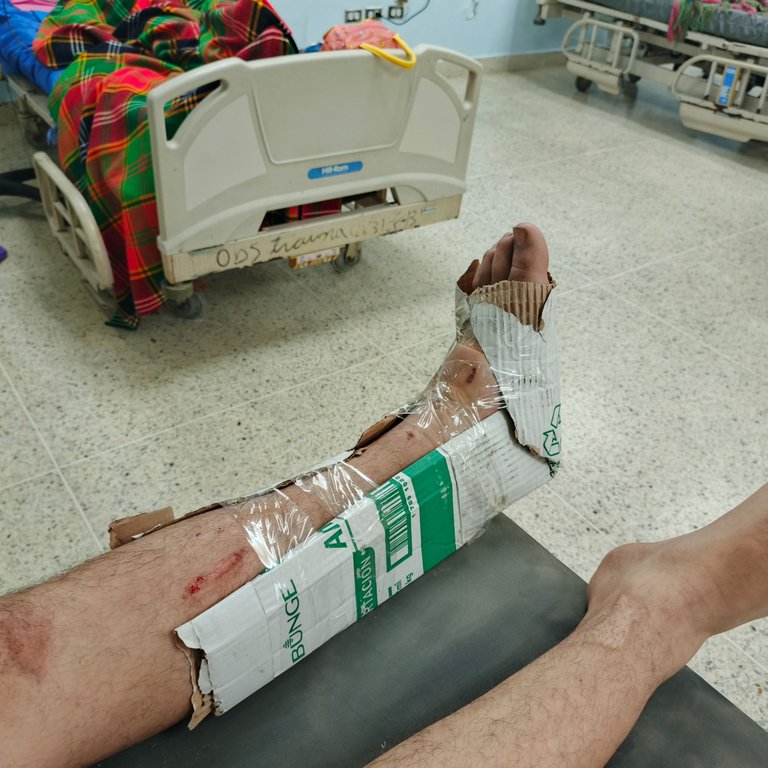 1000162374.jpg