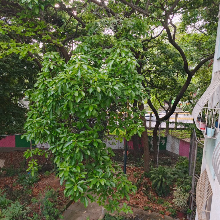 1000140956.jpg