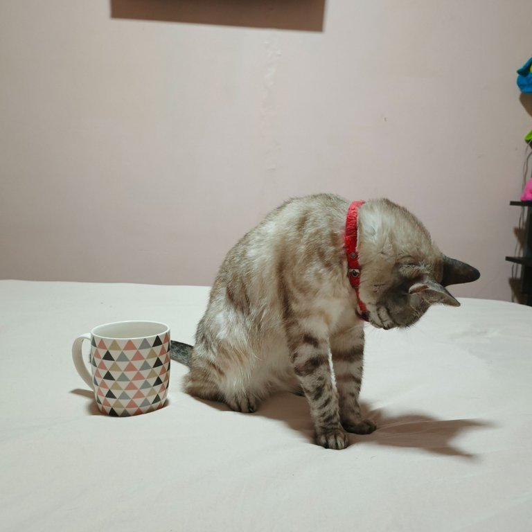 1000084051.jpg