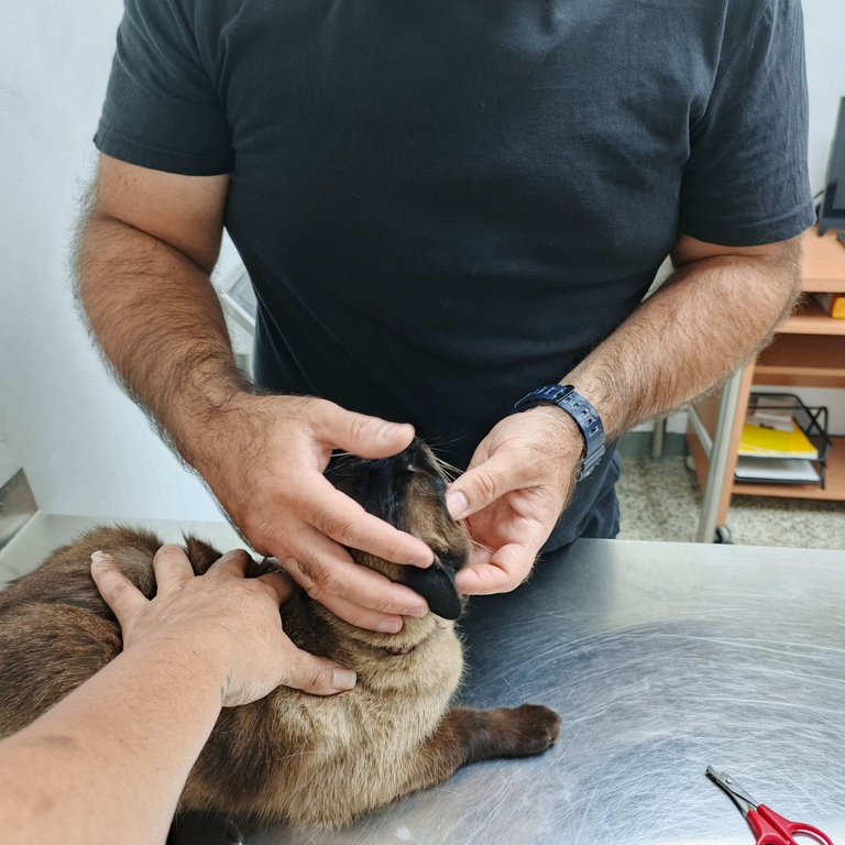 1000158297.jpg