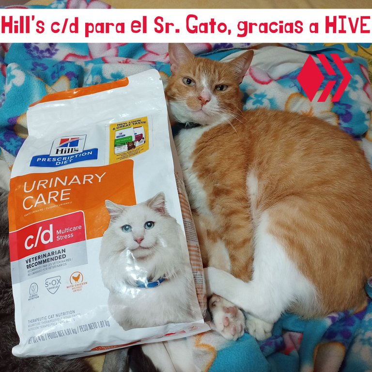 Hill's cd for Señor Gato, thanks to HIVE (1).png