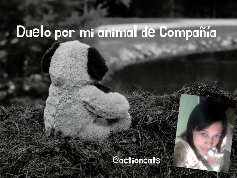 Duelo por mi animal de Compañía 😭 💔 (1).png