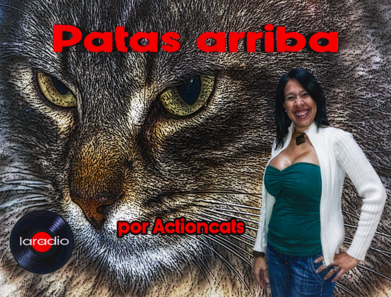 Patas Atrriba nuevo.png