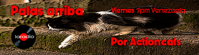 Banner_patas_Arriba.png