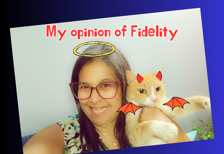 My opinion of Fidelity.png