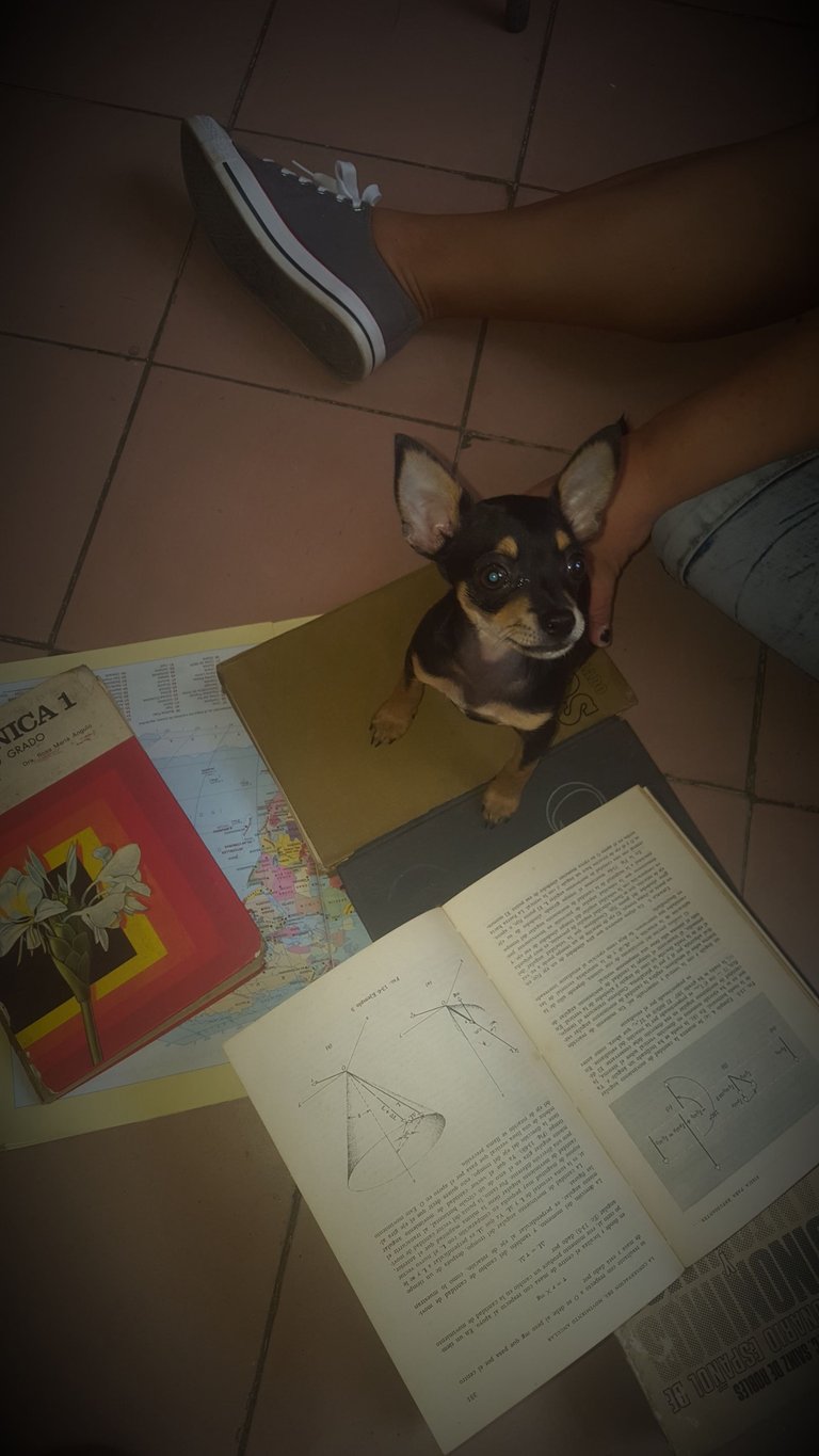 20181124_132717.jpg
