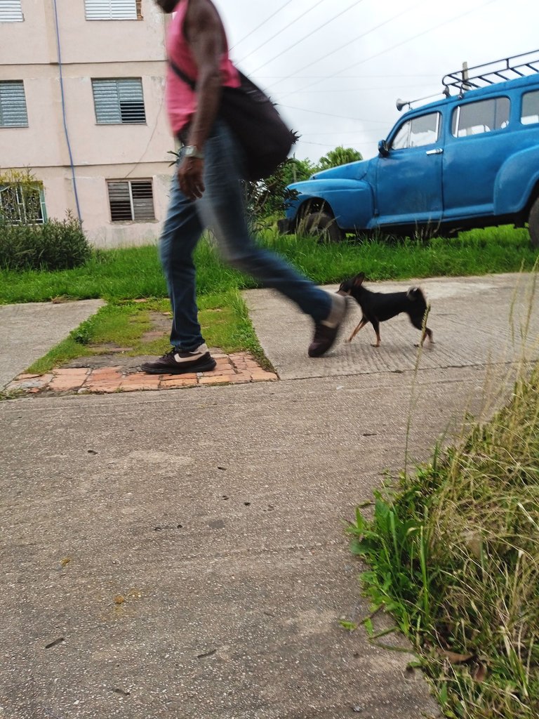 1718406677511.jpg
