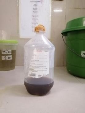 Bottle Low in Formalin.jpg