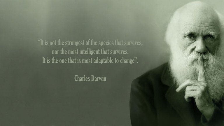 DarwinSpeciesStrong.jpg