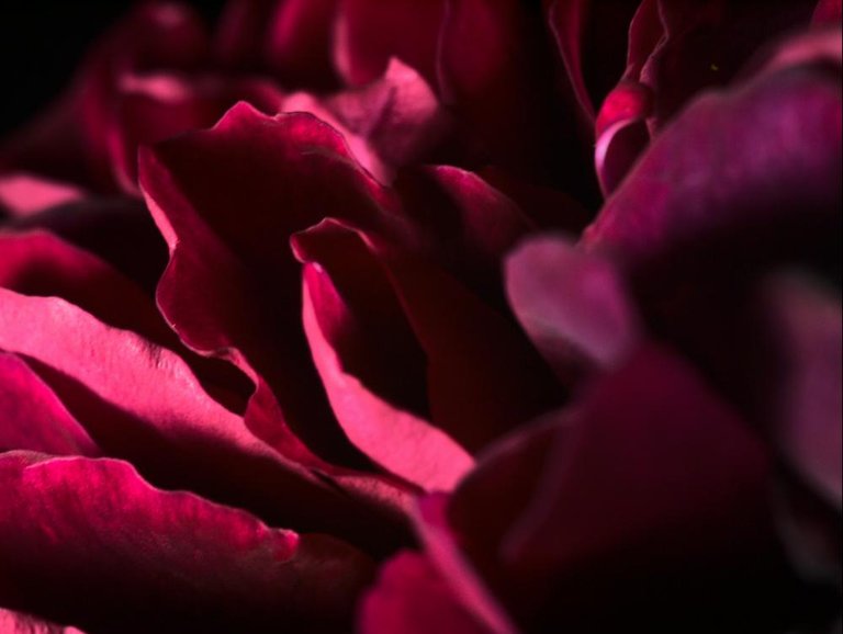 P6124848_1000px.jpg
