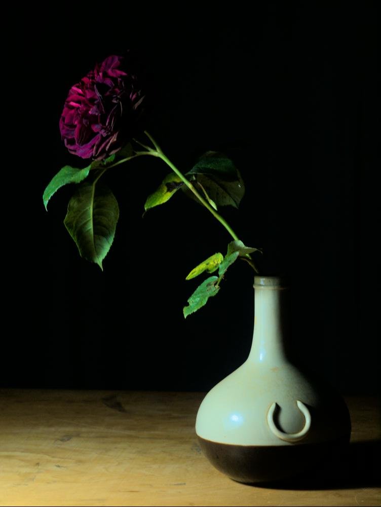P6114830_1000px.jpg