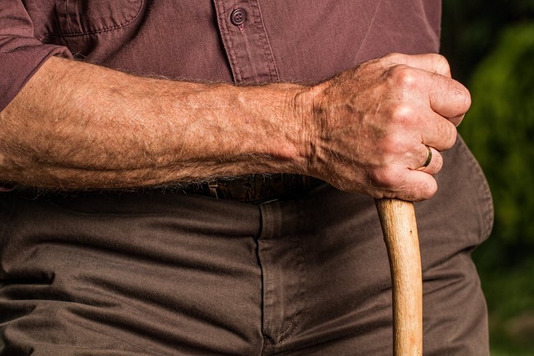 hand-walking-stick-arm-elderly-40141.jpeg