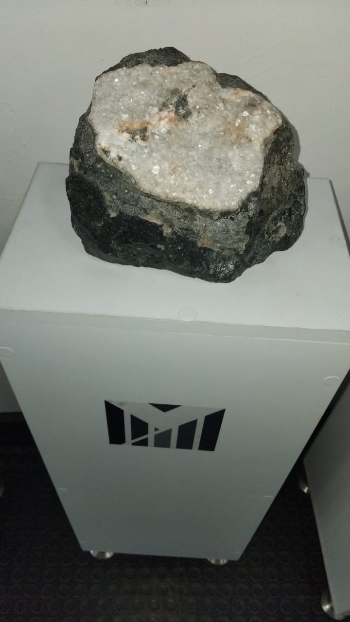 1000467155.jpg