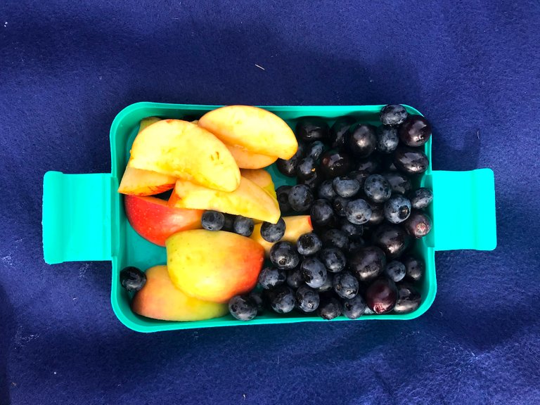 fruits.JPG