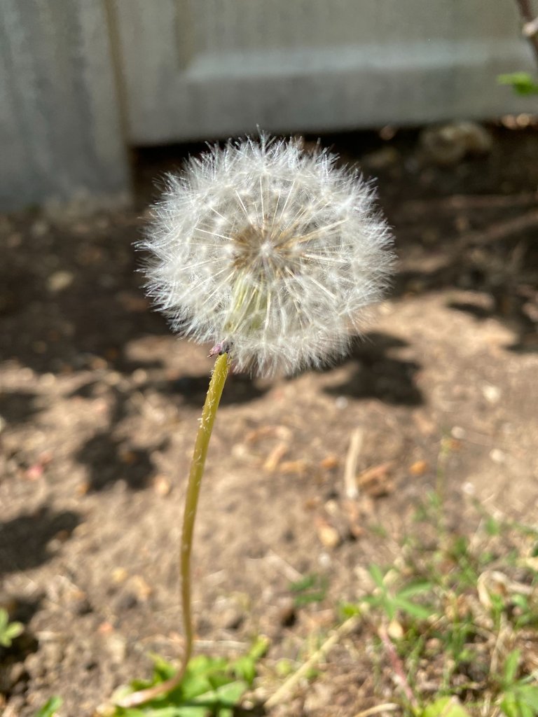 IMG_6975.jpeg
