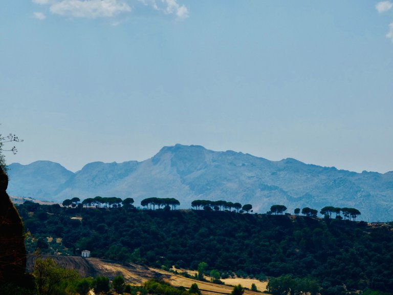 DSCF7943.JPG