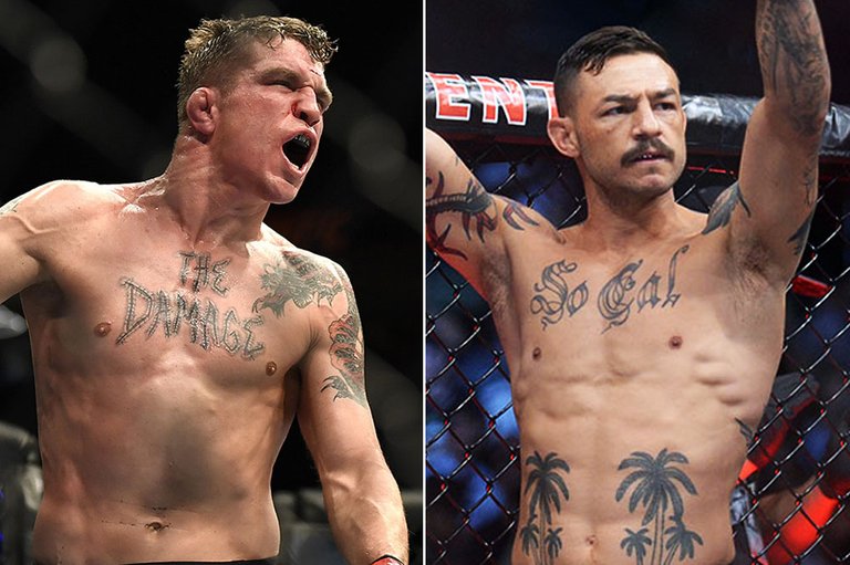 cub-swanson-vs-darren-elkins.jpg