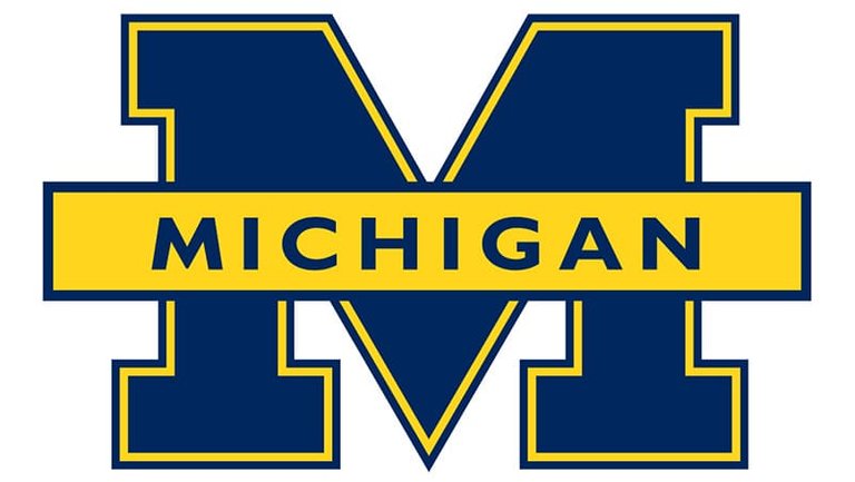 Michigan-Wolverines-Logo-1996.jpg