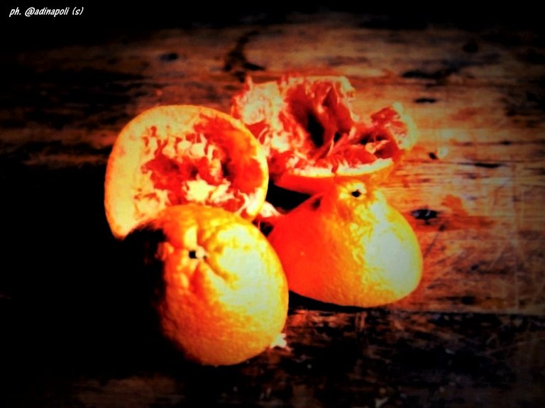 Orange Arancia.jpg