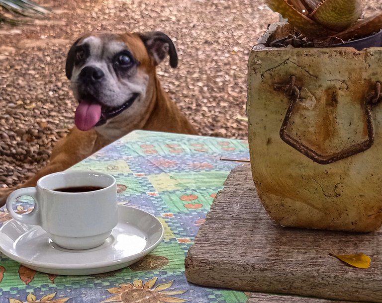 cafe en el jardin con suri y hojita.png