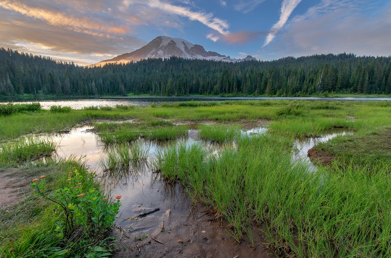 reflectionlakesgrass.jpg